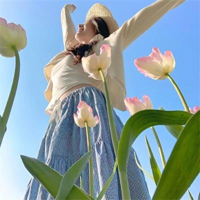 空中浩劫第十五季